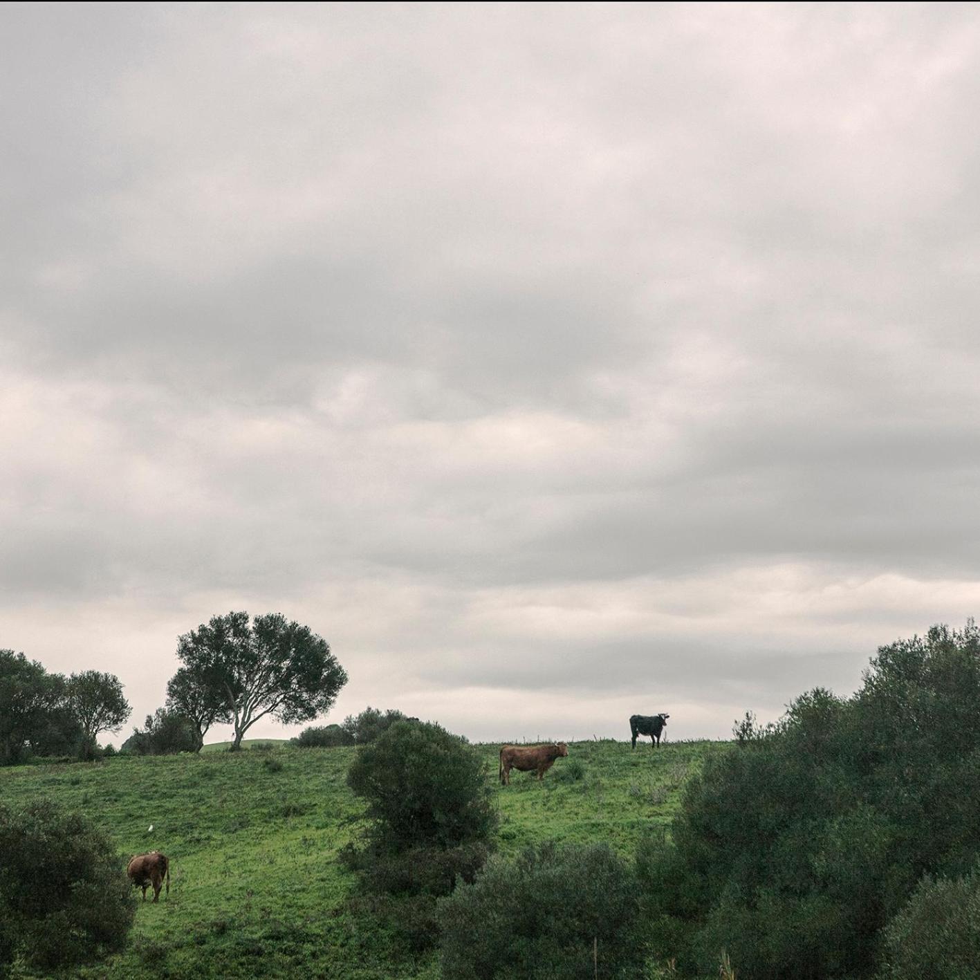 Ruralcamomo Villa Cádiz Kültér fotó