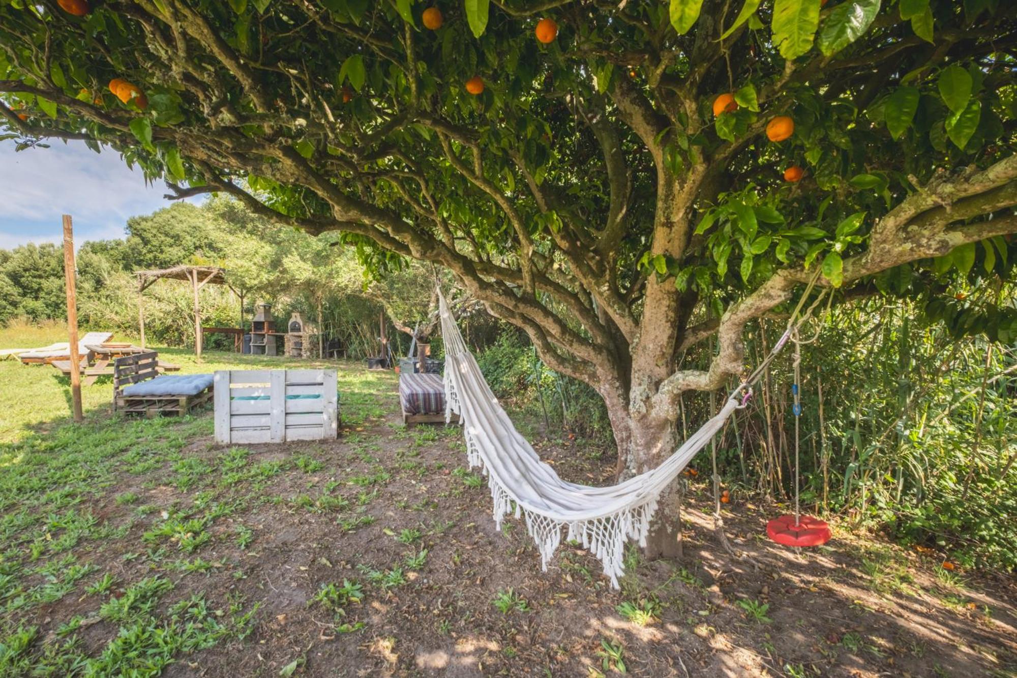 Ruralcamomo Villa Cádiz Kültér fotó